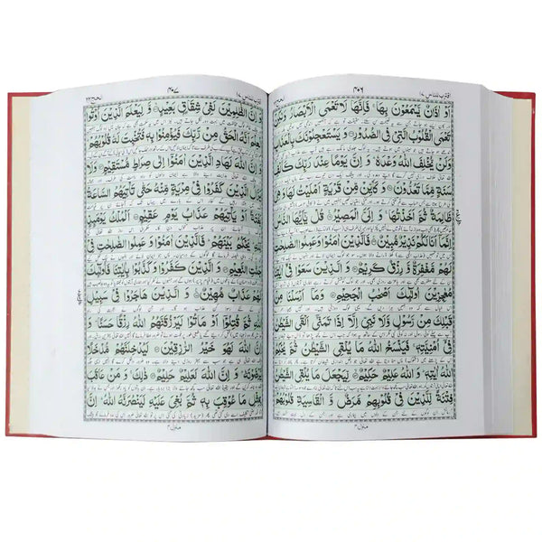 101 Jamal ul Quran