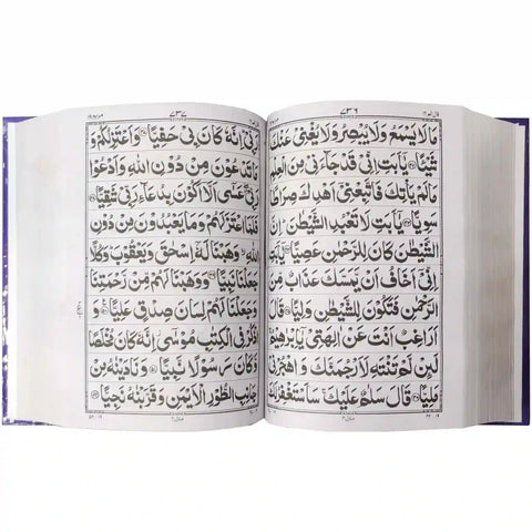16/2 10 Lines Quran Pak Pak Company - Saleemi Book Depot in pakistan