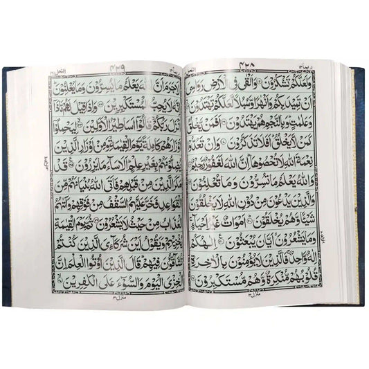 376S Quran Pak Taj Company - Saleemi Book Depot 