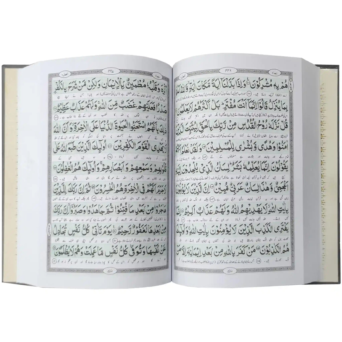 392 Al Quran-ul-Kareem Al Bayan - Saleemi Book Depot in pakistan