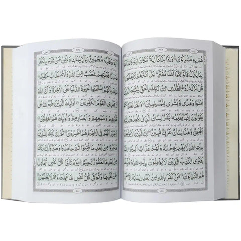 392 Al Quran-ul-Kareem Al Bayan - Saleemi Book Depot in pakistan
