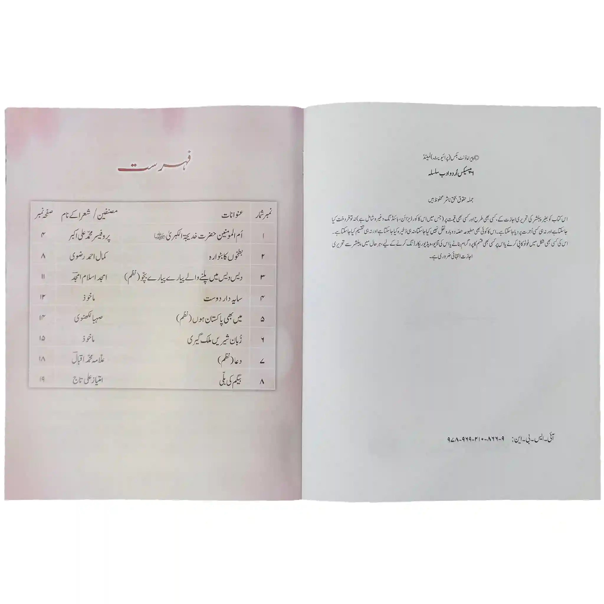 Apex Urdu Adab Silsala 5 Aps - Saleemi Book Depot 