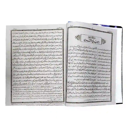 Bahishti Zaver Urdu translation 418L Taj Company - Saleemi Book Depot in pakistan #