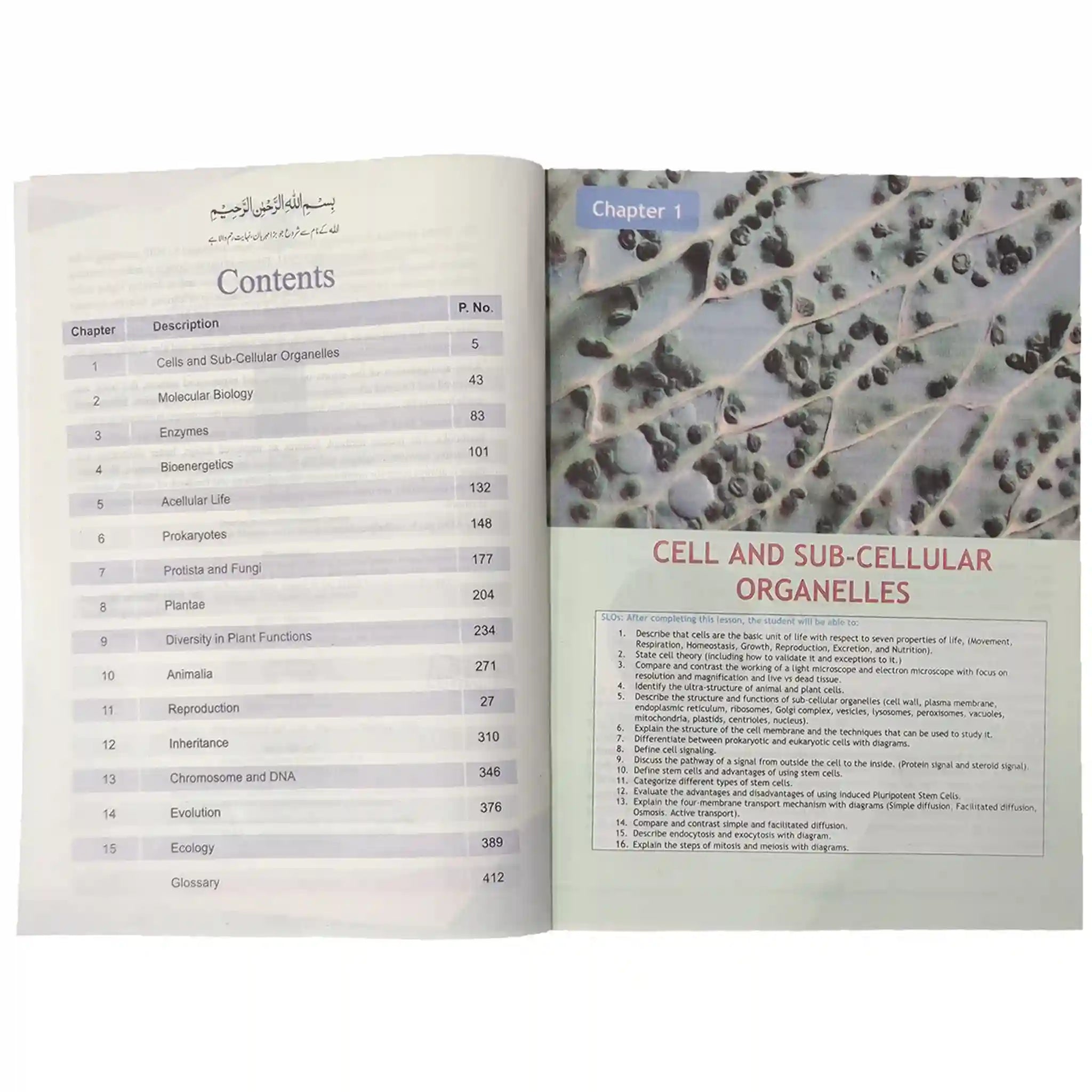 Biology 11 With Experimentation Skills NBF FG - Saleemi Book Depot 