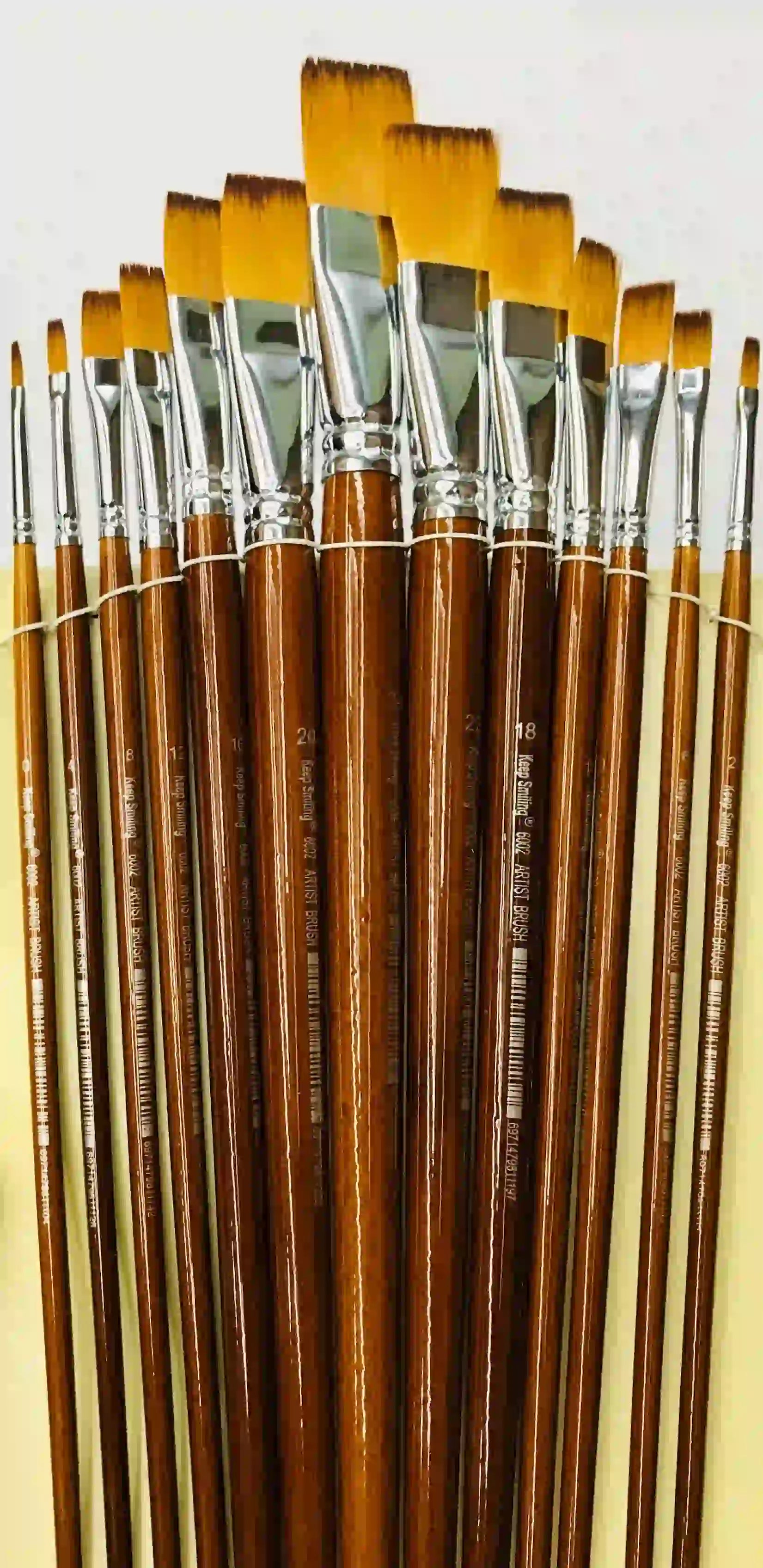 Bomega High Quality Paint Brush 13 Pcs Pack - Saleemi Book Depot in pakistan
