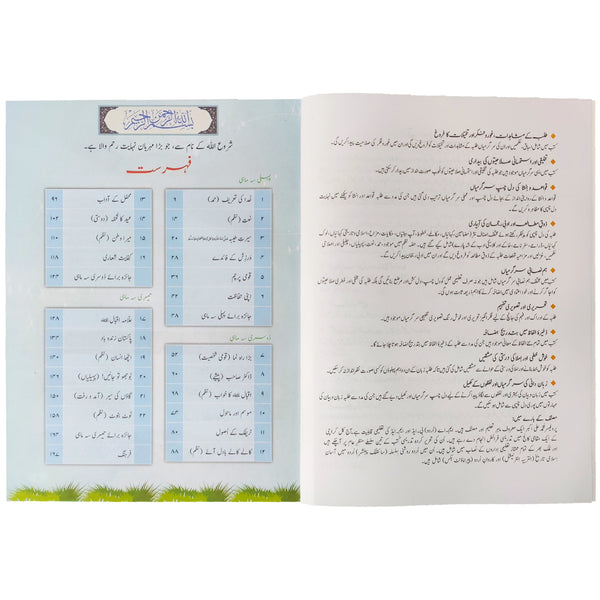 Caravan Urdu Class 2 The Educators - Saleemi Book Depot 