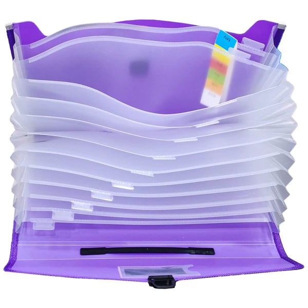 Expanding Bag File Folder 6376F