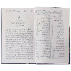 Fazail-E-Hajj - Saleemi Book Depot in pakistan