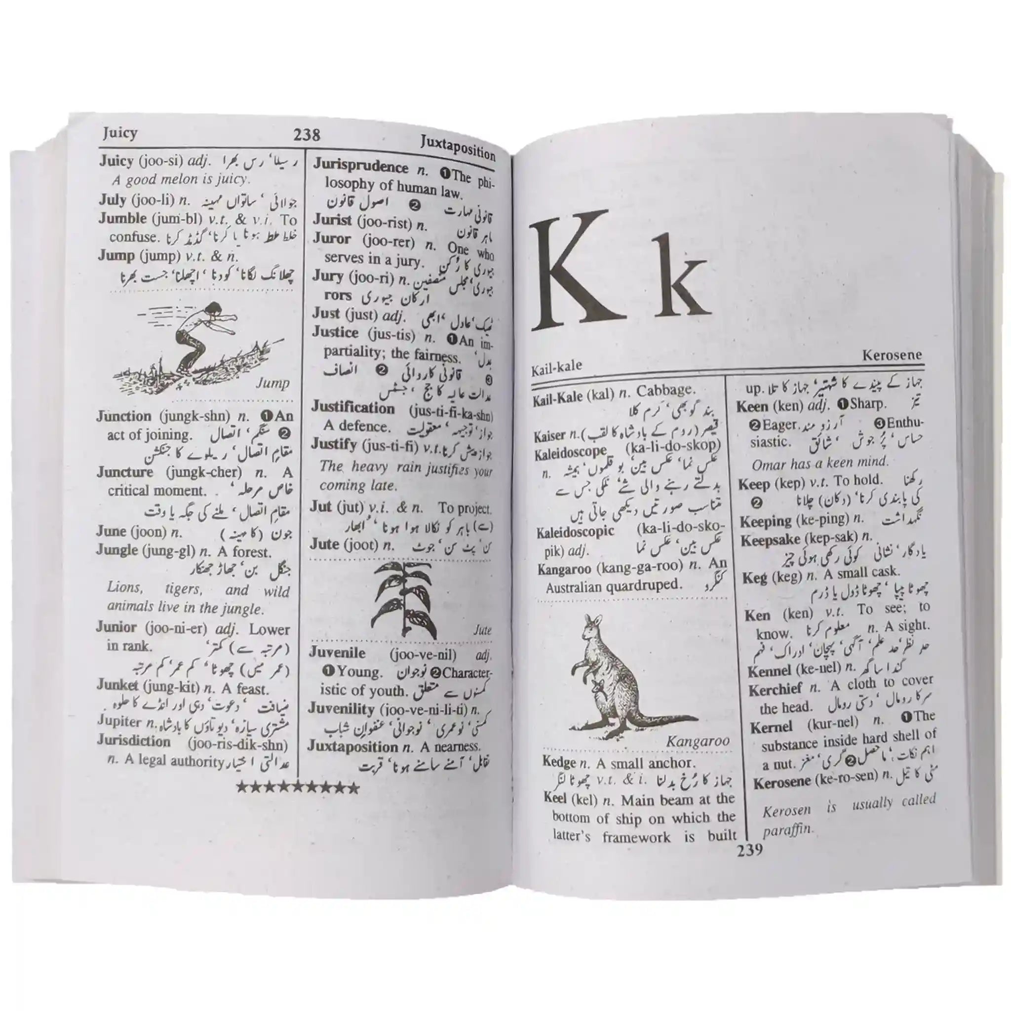 Gem Student's Dictionary English to English and Urdu - Saleemi Book Depot in pakistan