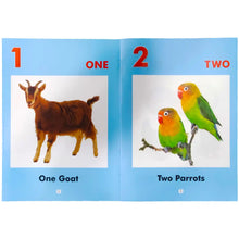 Gohar Blue Counting Picture Book - Saleemi Book Depot 