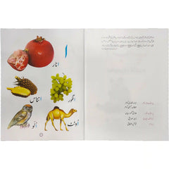 Gohar MY FIRST URDU PICTURE BOOK - Saleemi Book Depot 