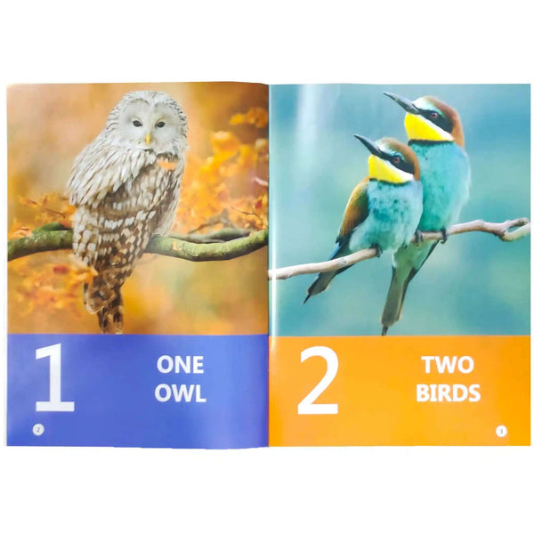 Gohar Math Playgroup Steping Stone BlueBell SRM - Saleemi Book Depot 