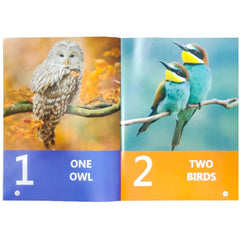 Gohar Math Playgroup Steping Stone BlueBell SRM - Saleemi Book Depot 