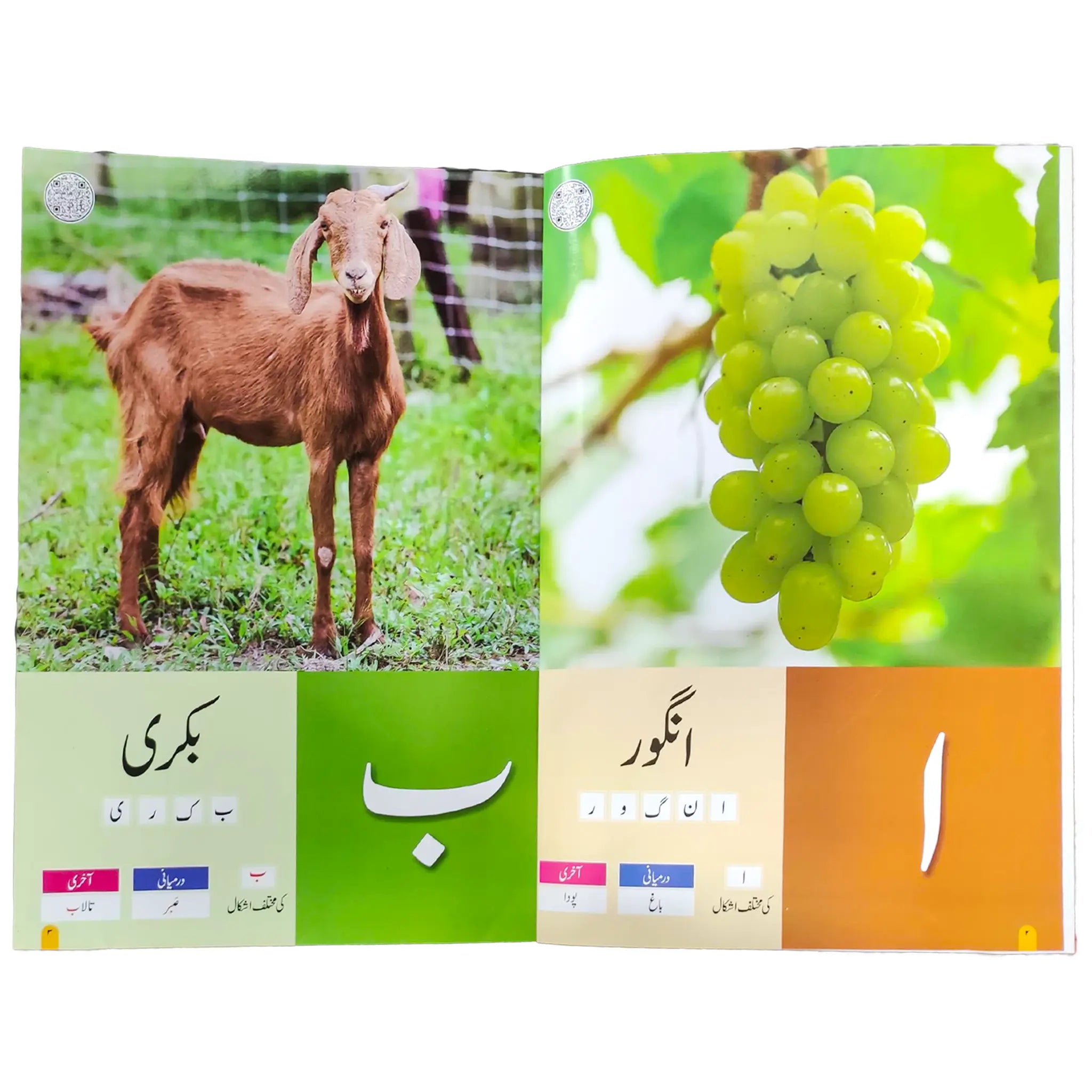 Haroof e Tahaji Urdu Ka Qaida 3+ age Atlantic Books - Saleemi Book Depot in pakistan