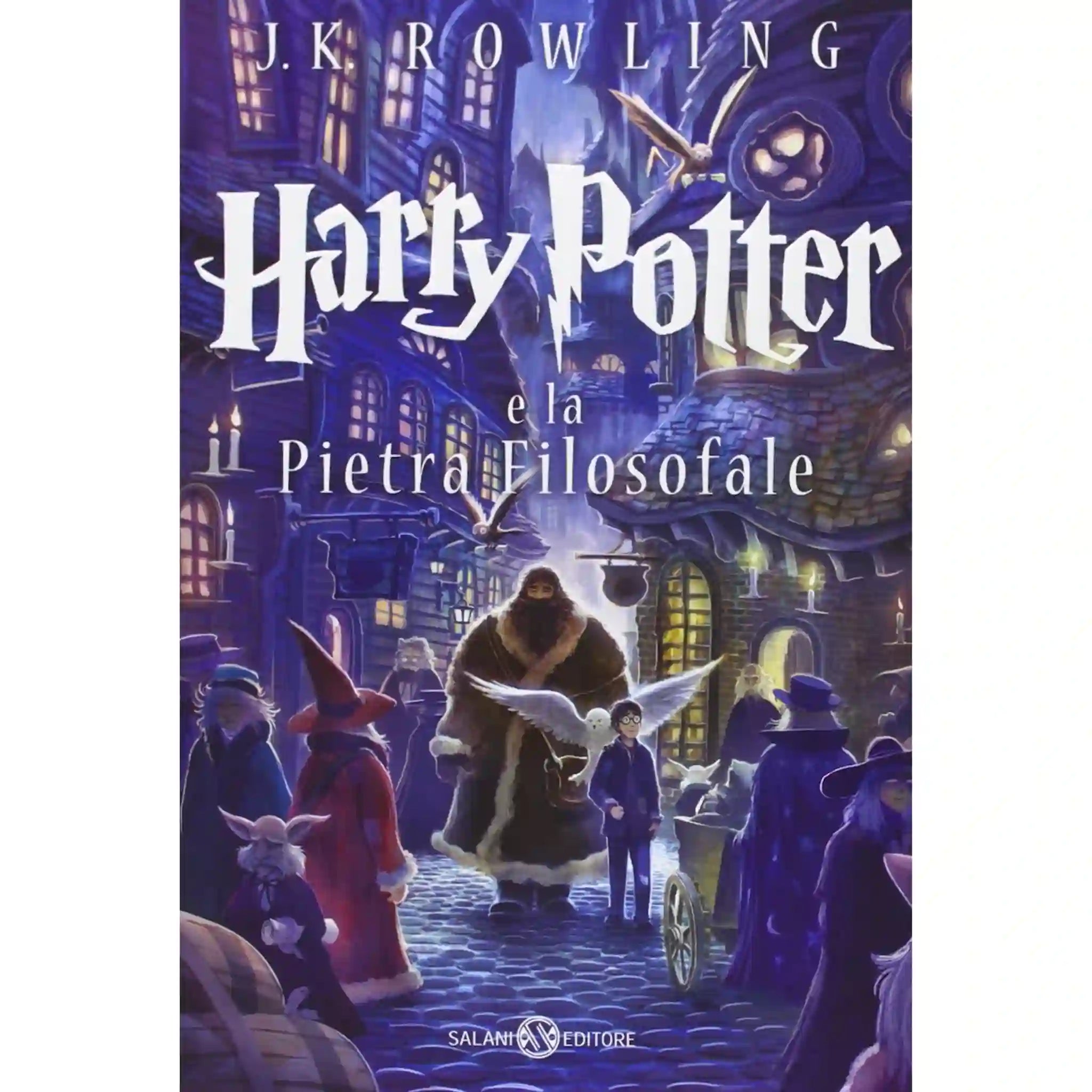 Harry Potter and the Sorcerers Stone - Saleemi Book Depot in pakistan