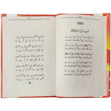 Kalam Baba Fareed Book Kot Mithan - Saleemi Book Depot in pakistan