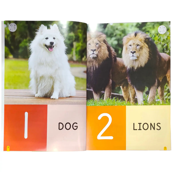 Kids Counting Book 3+ age Atlantic Books 8111 - Saleemi Book Depot