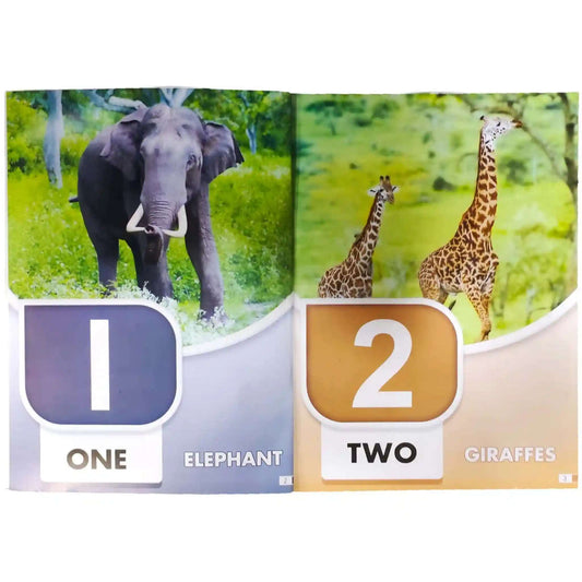 Maths Playgroup Age 3+ Roots SRM - Saleemi Book Depot 