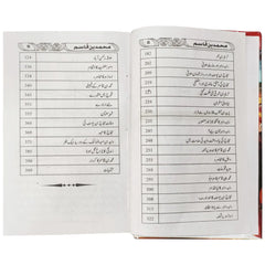 Muhammad Bin Qasim - Saleemi Book Depot in pakistan