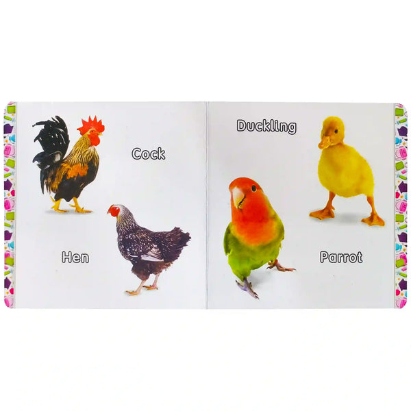 My First Board Book of Birds Rabia