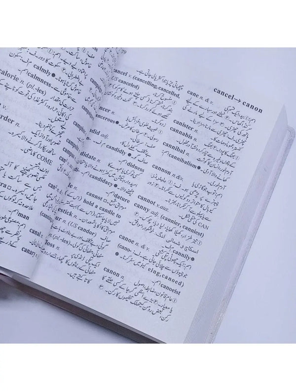 Oxford Mini Dictionary English-Urdu
