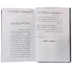 Qasas Ul Ambiya Shabeer Brothers - Saleemi Book Depot in pakistan