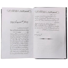 Qasas Ul Ambiya Shabeer Brothers - Saleemi Book Depot in pakistan