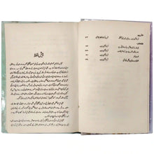 Qurat ul Ain Haidar - Saleemi Book Depot in pakistan