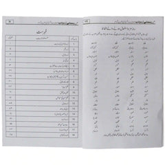 Rehnuma’e Urdu Adab By Sana Rasheed - Saleemi Book Depot 