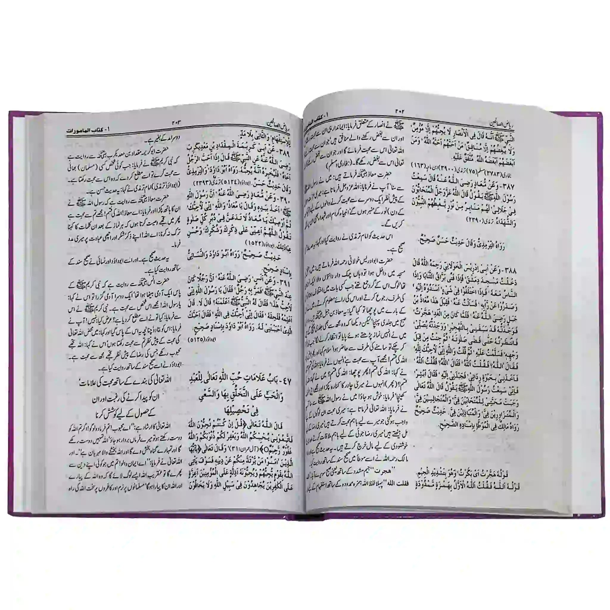 Riyaz ul saleheen complete book Arbi-Urdu - Saleemi Book Depot in pakistan