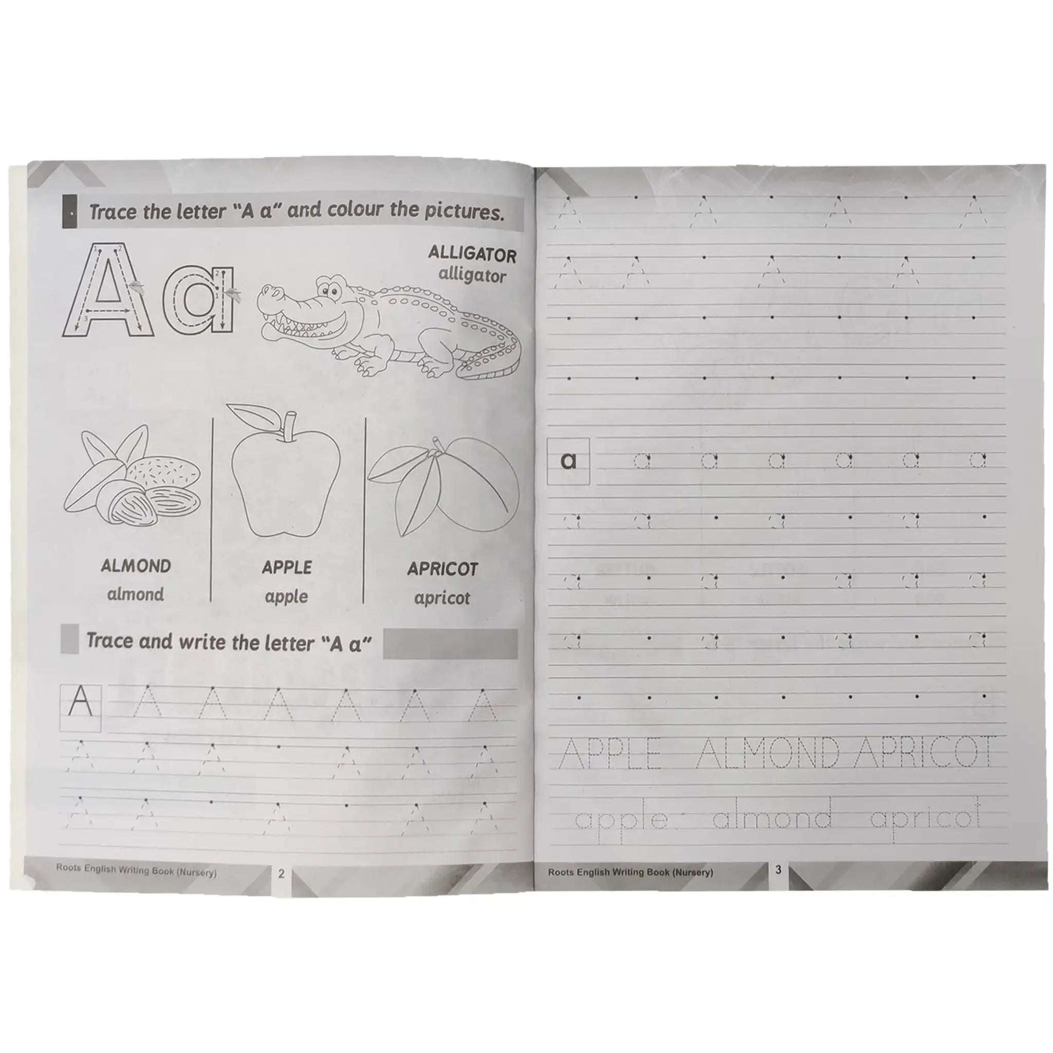Roots English Nursery Workbook Age 4+ SRM Pre 1 - Saleemi Book Depot 