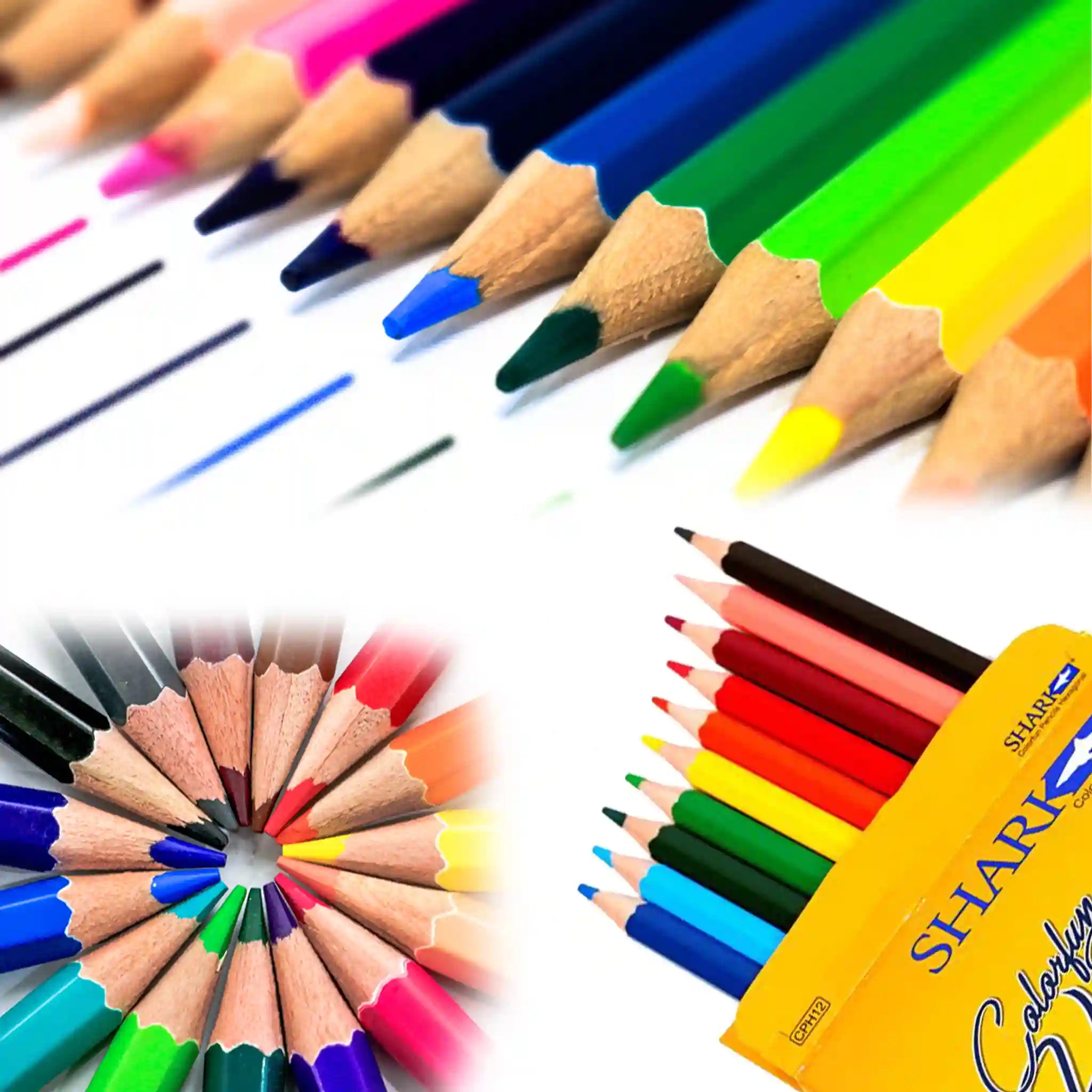 Shark 12 Colour Pencil Full Card CPH12 Pack - Saleemi Book Depot 