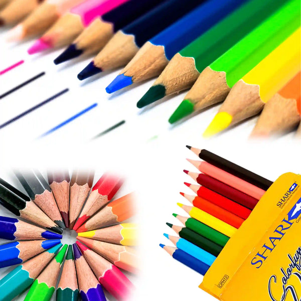 Shark 12 Colour Pencil Full Card CPH12 Pack - Saleemi Book Depot 