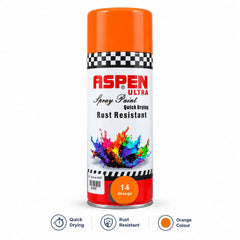 Spray Paint 300ml
