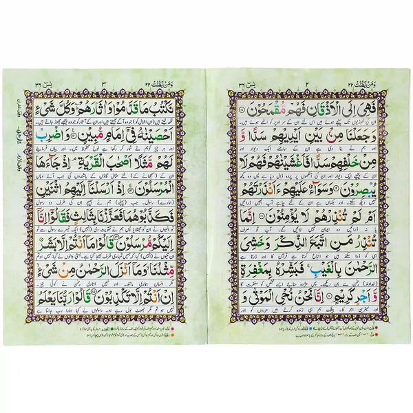Surah Yaseen Shareef Zia ul Quran Z90T