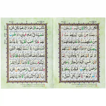 Surah Yaseen Shareef Zia ul Quran Z90T