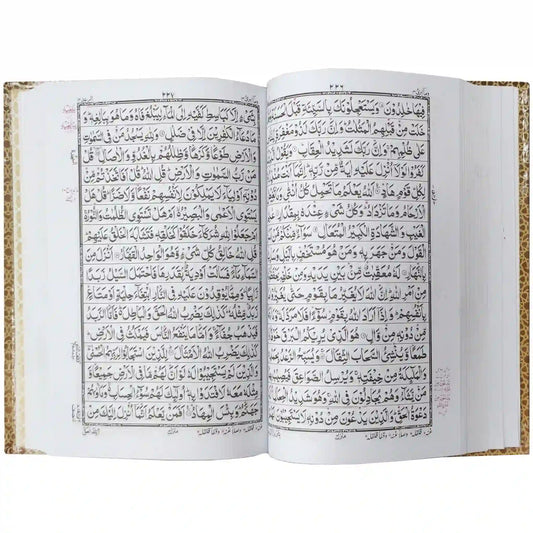 Tajweedi Quran 16 Lines 876-2L - Saleemi Book Depot in pakistan