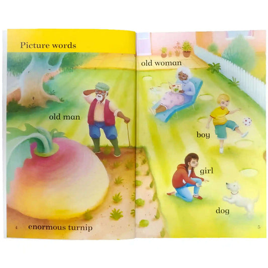 The Enormous Turnip 1 ladybird - Saleemi Book Depot 