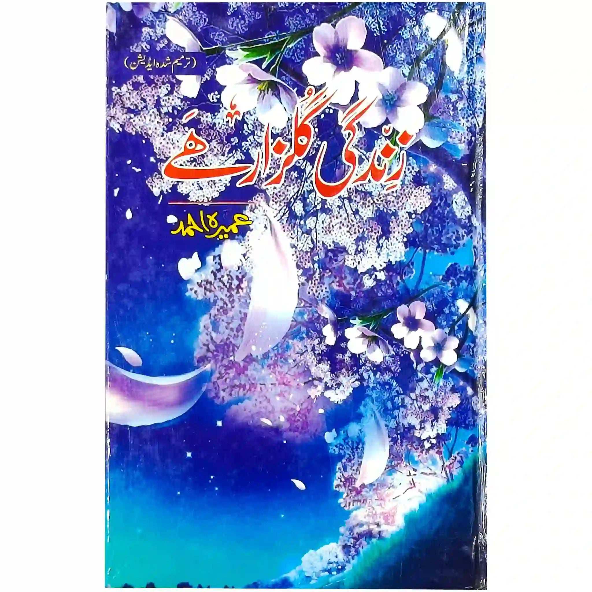 Zindagi Gulzar Hai - Saleemi Book Depot 
