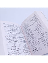 Feroz ul Lughat Urdu Pocket Dictionary