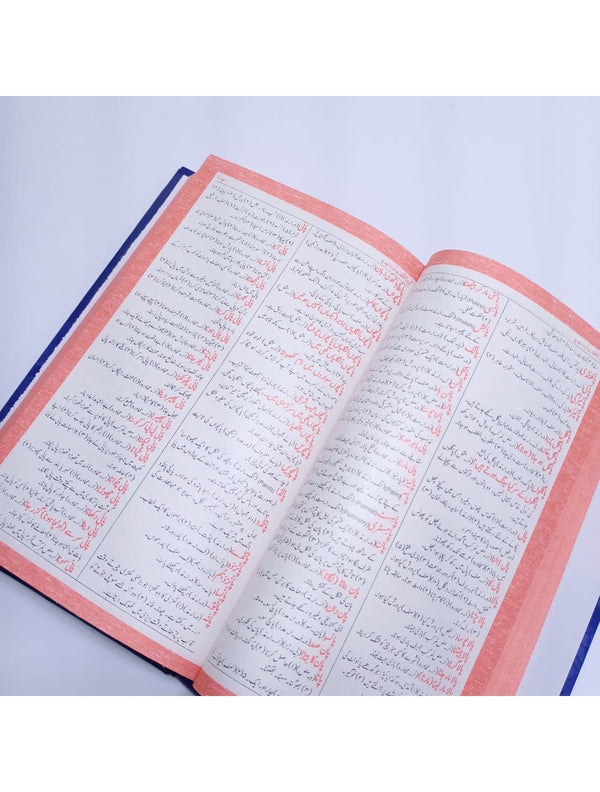 Feroz ul Lughat Urdu New Colourful Edition - Saleemi Book Depot in pakistan