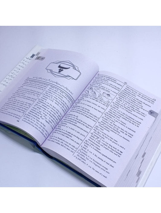 GEM Practical Dictionary Urdu to English - Saleemi Book Depot in pakistan