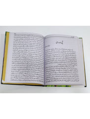 Shahkaar Kahaniya , Stories Book by Dr. Qamar Hashmi - Saleemi Book Depot in pakistan